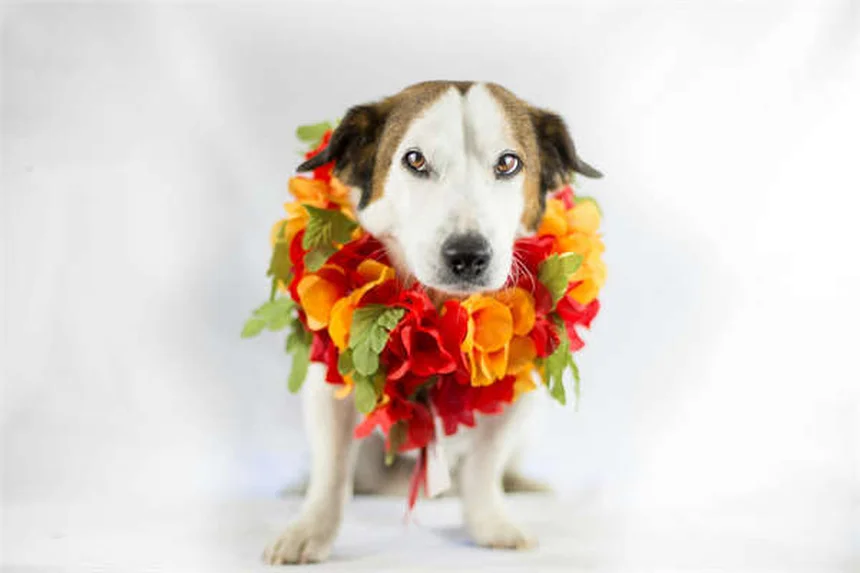 Ketamine for Depression: 5 Key Facts About This Breakthrough Treatment